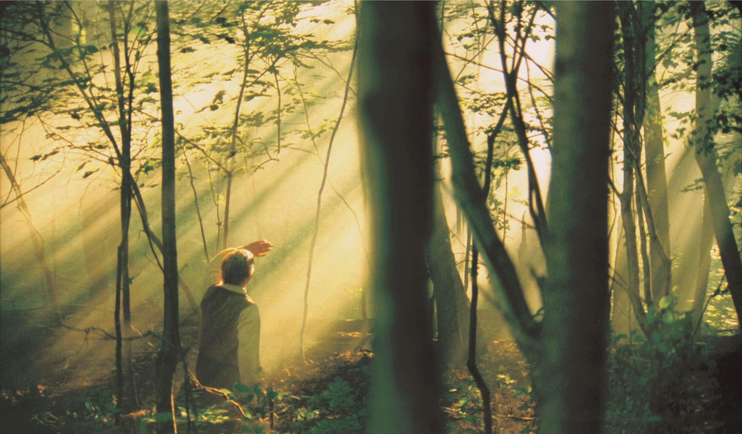 Lesson 3: "I Had Seen a Vision" | Meridian Magazine