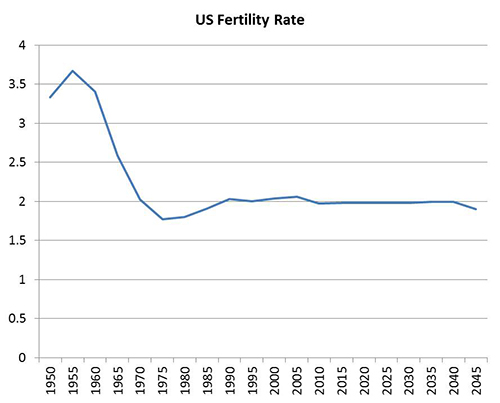 8 - US Fertility Rate