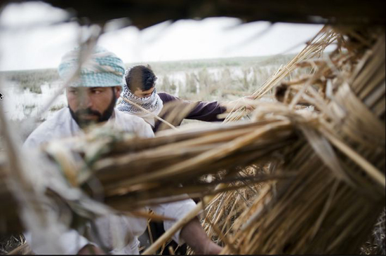 09-Men in Southern Iraq Making Reed Hut